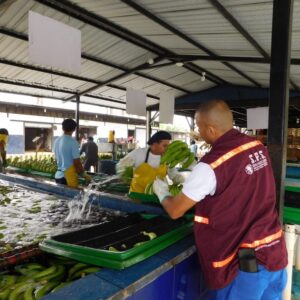 Inspección de Condición en hacienda x jornada/hombre