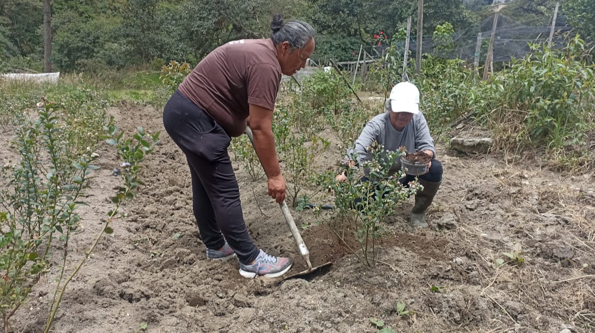 Migración y declive agrícola