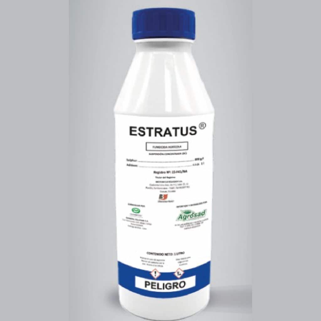 ESTRATUS