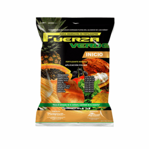 Fuerza verde inicio