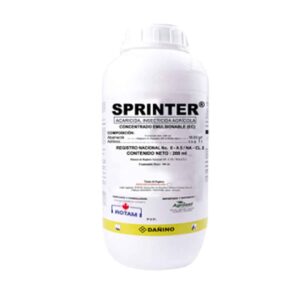 SPRINTER