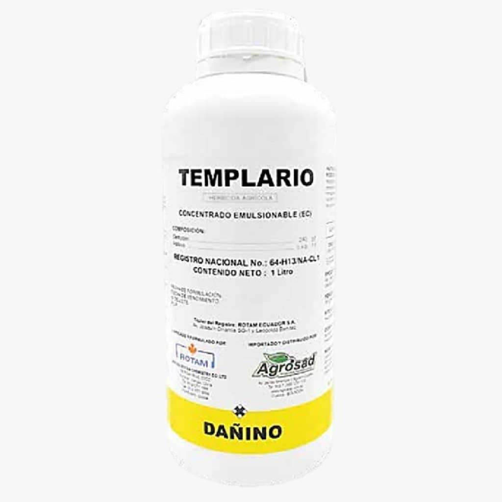 TEMPLARIO
