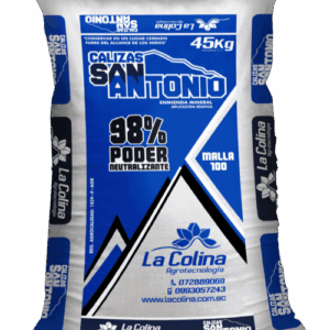 Caliza San Antonio M100
