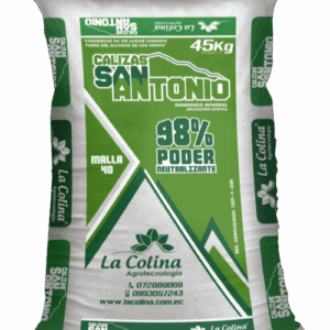 Caliza San Antonio M40