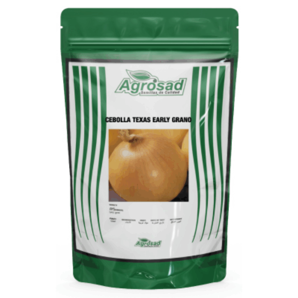 Cebolla Perla Variedad Texas Early Grano 502