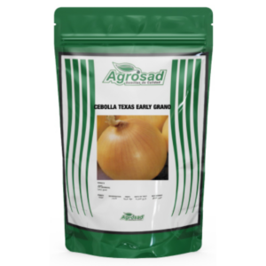 Cebolla Perla Variedad Texas Early Grano 502