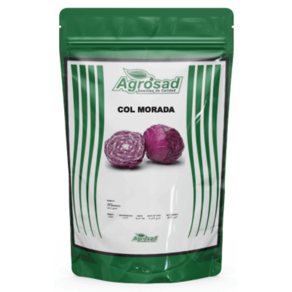 Col Morada Variedad Red Meteor
