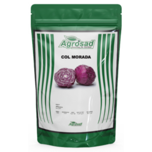 Col Morada Variedad Red Meteor