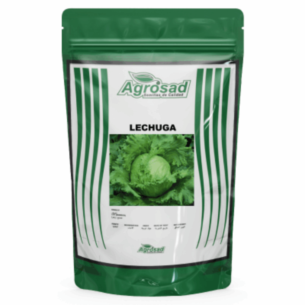 Lechuga (Repollo) Variedad Great Lakes 118
