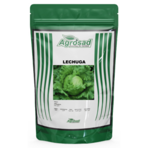 Lechuga (Repollo) Variedad Great Lakes 118