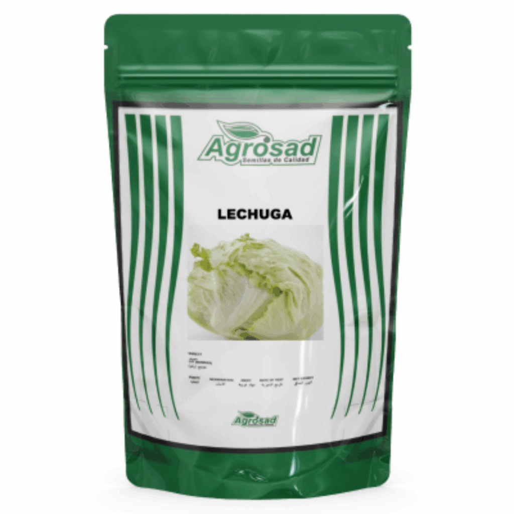 Lechuga (Repollo) Variedad Great Lakes 366