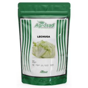 Lechuga (Repollo) Variedad Great Lakes 366