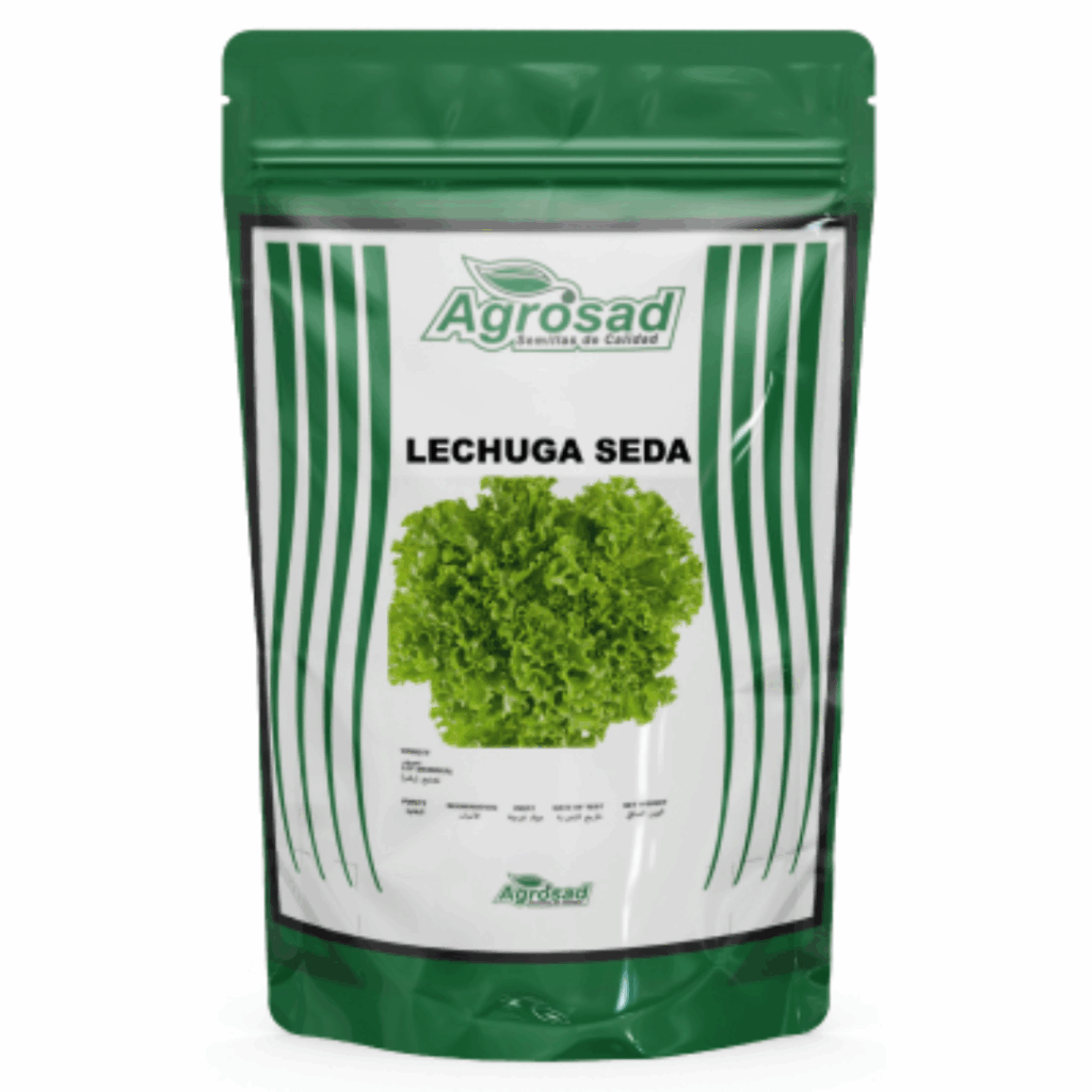 Lechuga Seda (Hoja) Variedad Kagramer Sommer