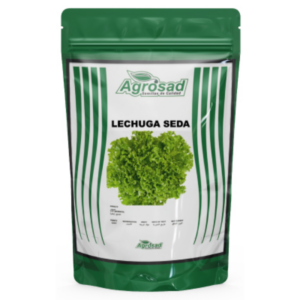 Lechuga Seda (Hoja) Variedad Kagramer Sommer