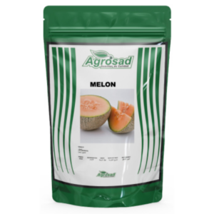 Melón Variedad Edisto 47