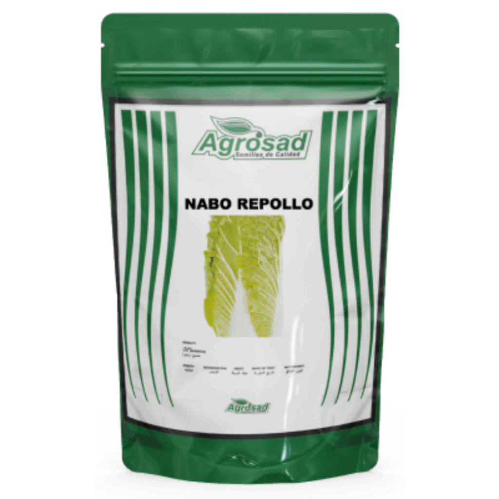 Nabo Repollo Variedad Chinise Michihili