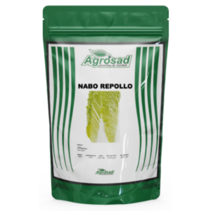 Nabo Repollo Variedad Chinise Michihili
