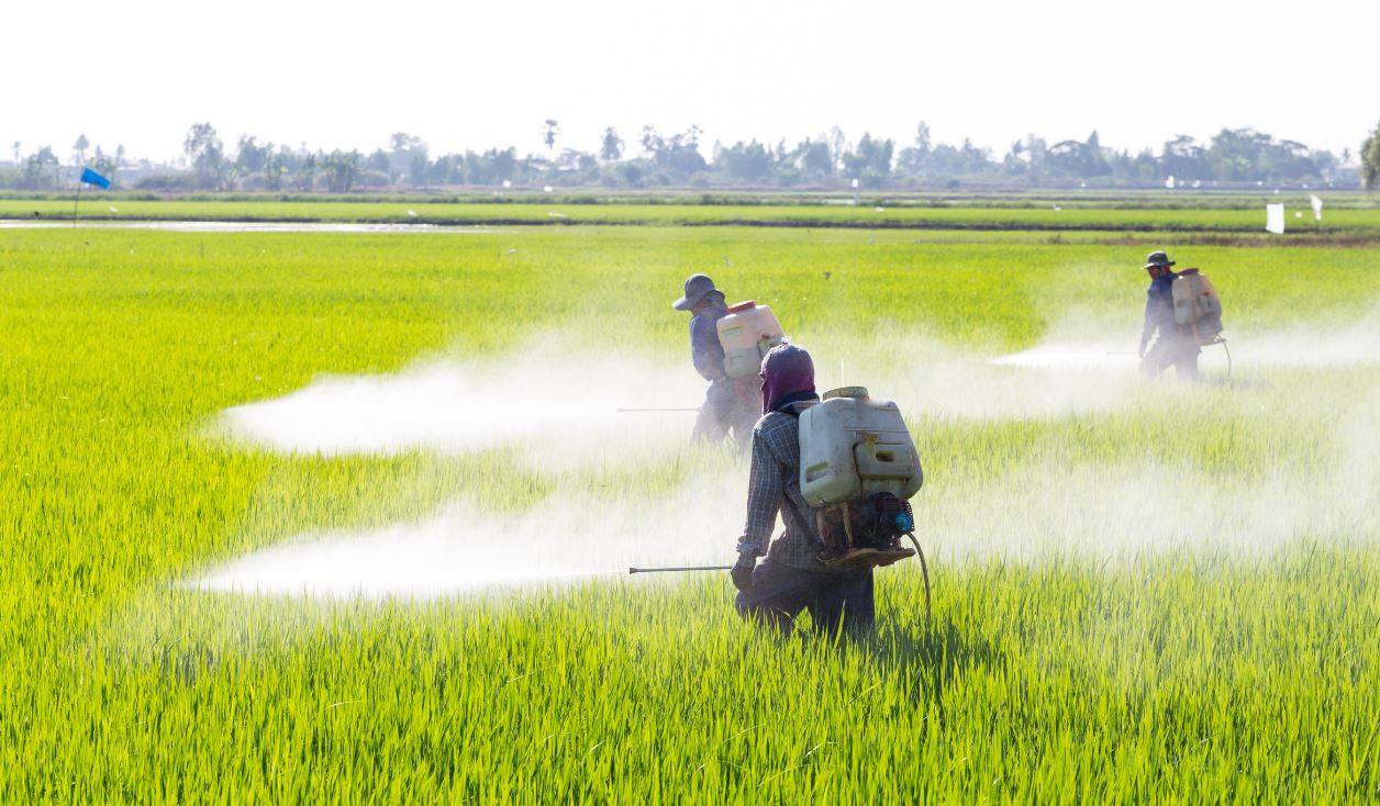 En octubre, la Unión Europea tomará una decisión en relación a la aprobación del herbicida glifosato