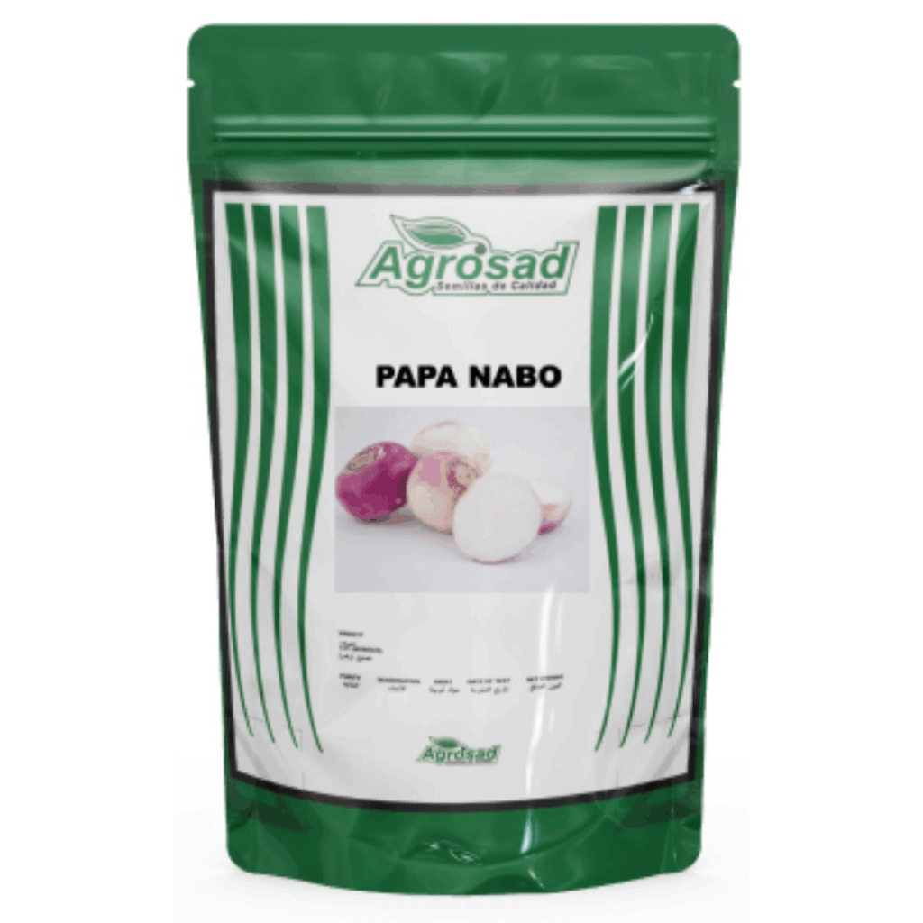 Papanabo Variedad Purple Top White Globe