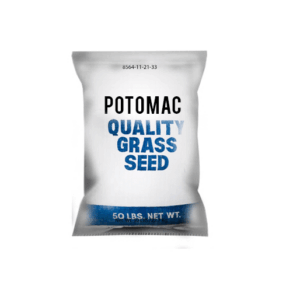 Pasto azul Variedad Potomac