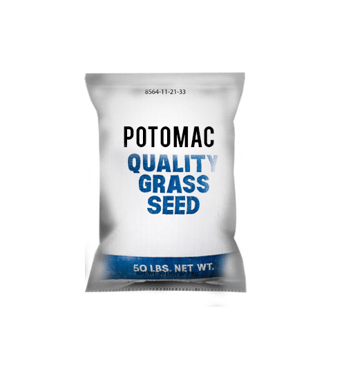 Pasto azul Variedad Potomac