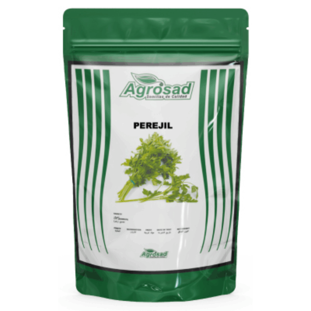 Perejil Variedad Dark Green Italian