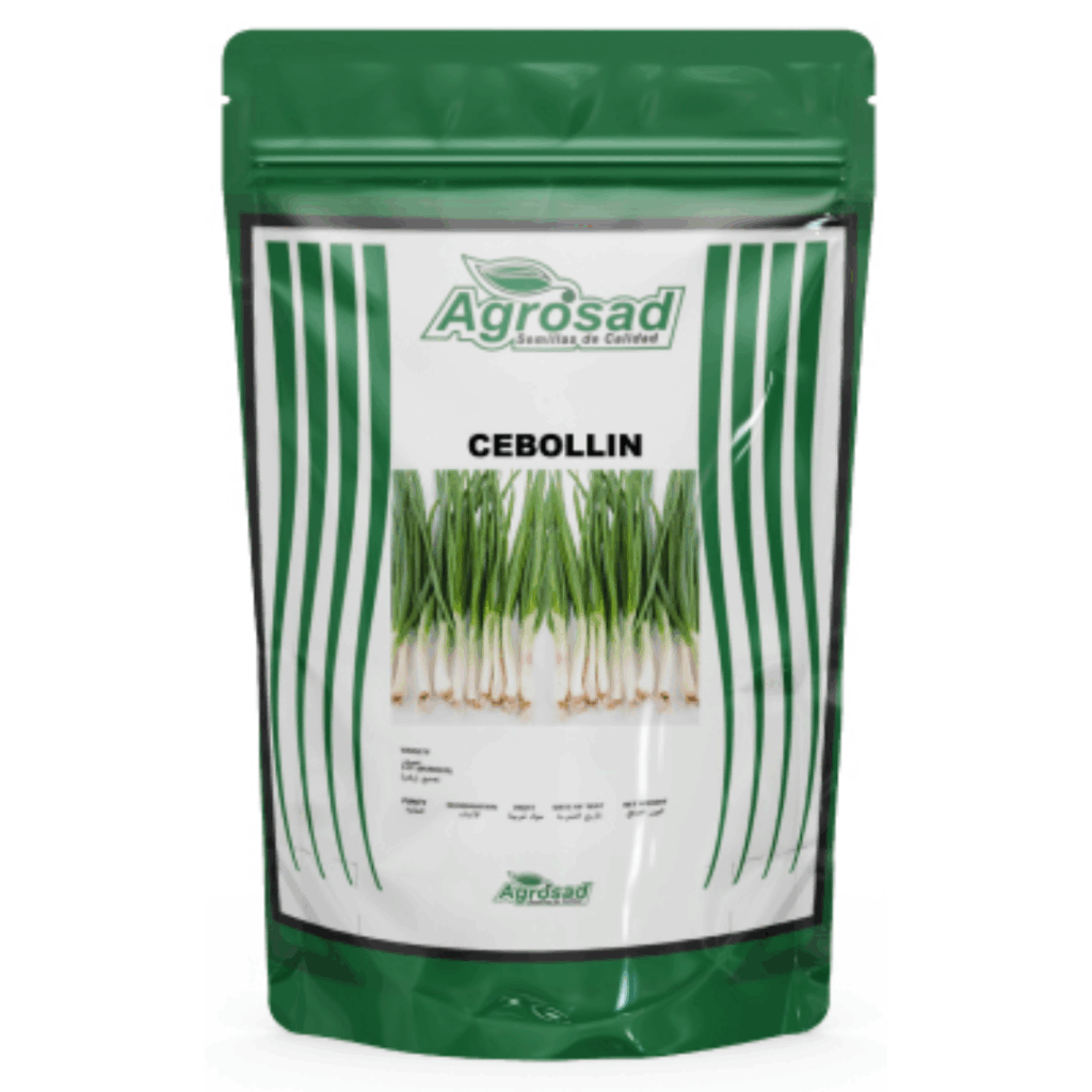 Cebollín Variedad Tokyo Long White