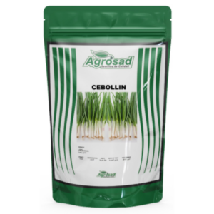 Cebollín Variedad Tokyo Long White