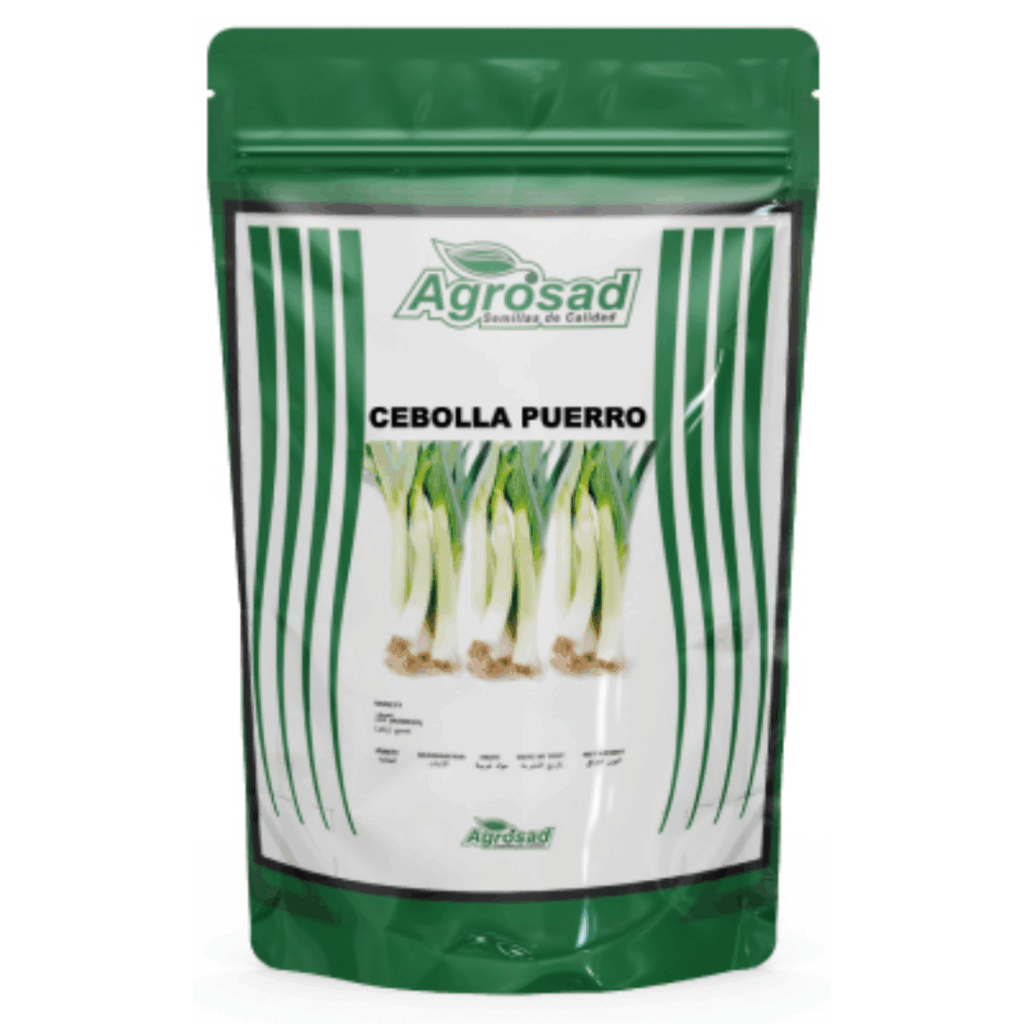 Cebolla Puerro Variedad Puerro American Flag