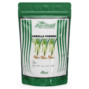 Cebolla Puerro Variedad Puerro American Flag