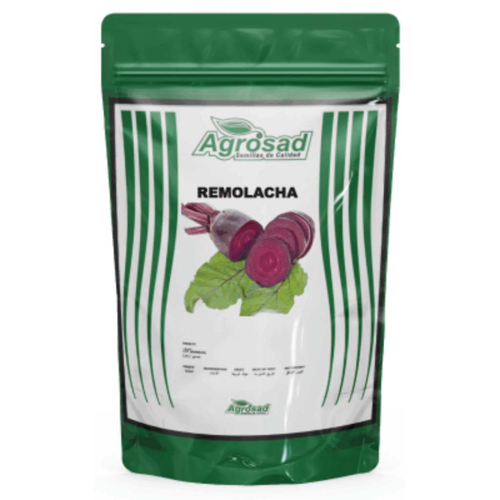 Remolacha Variedad Crosby Egyptiant