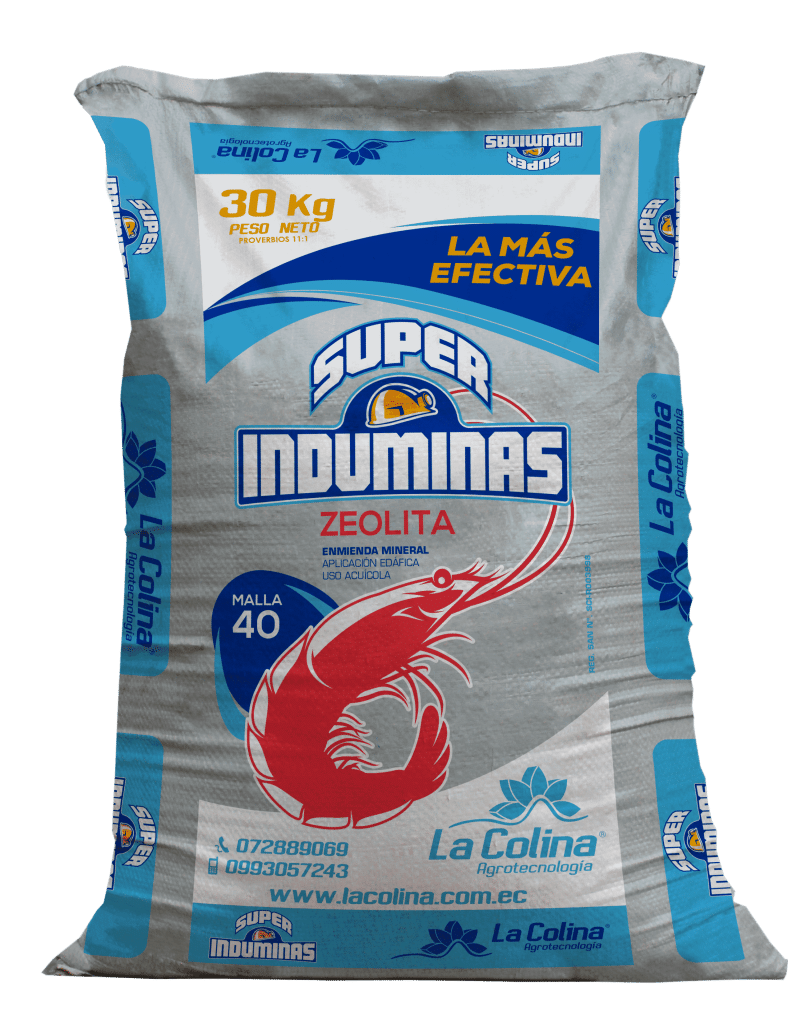 Superinduminas