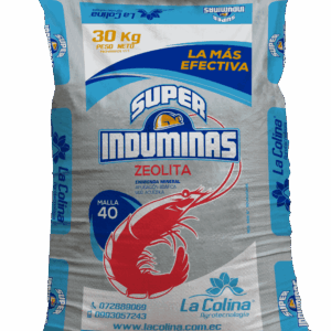 Superinduminas