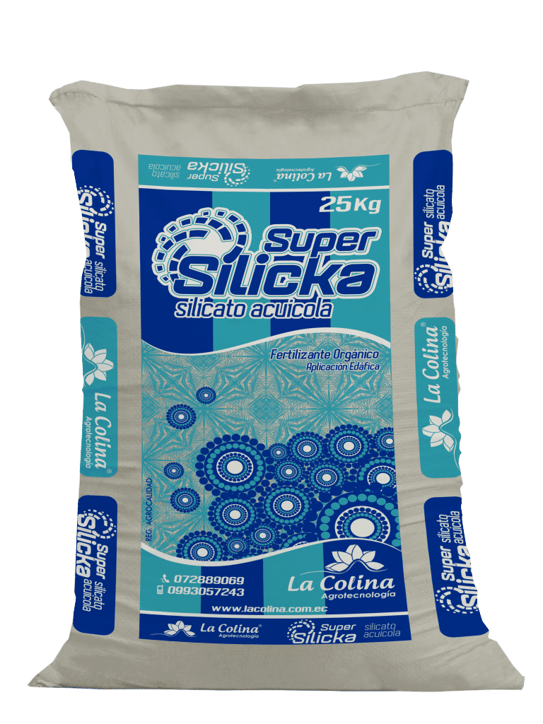 Super Silicka