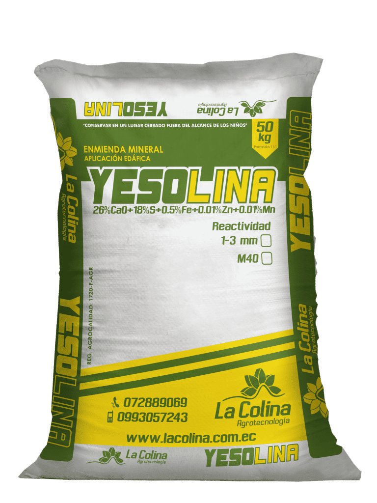 Yesolina
