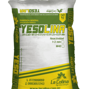 Yesolina