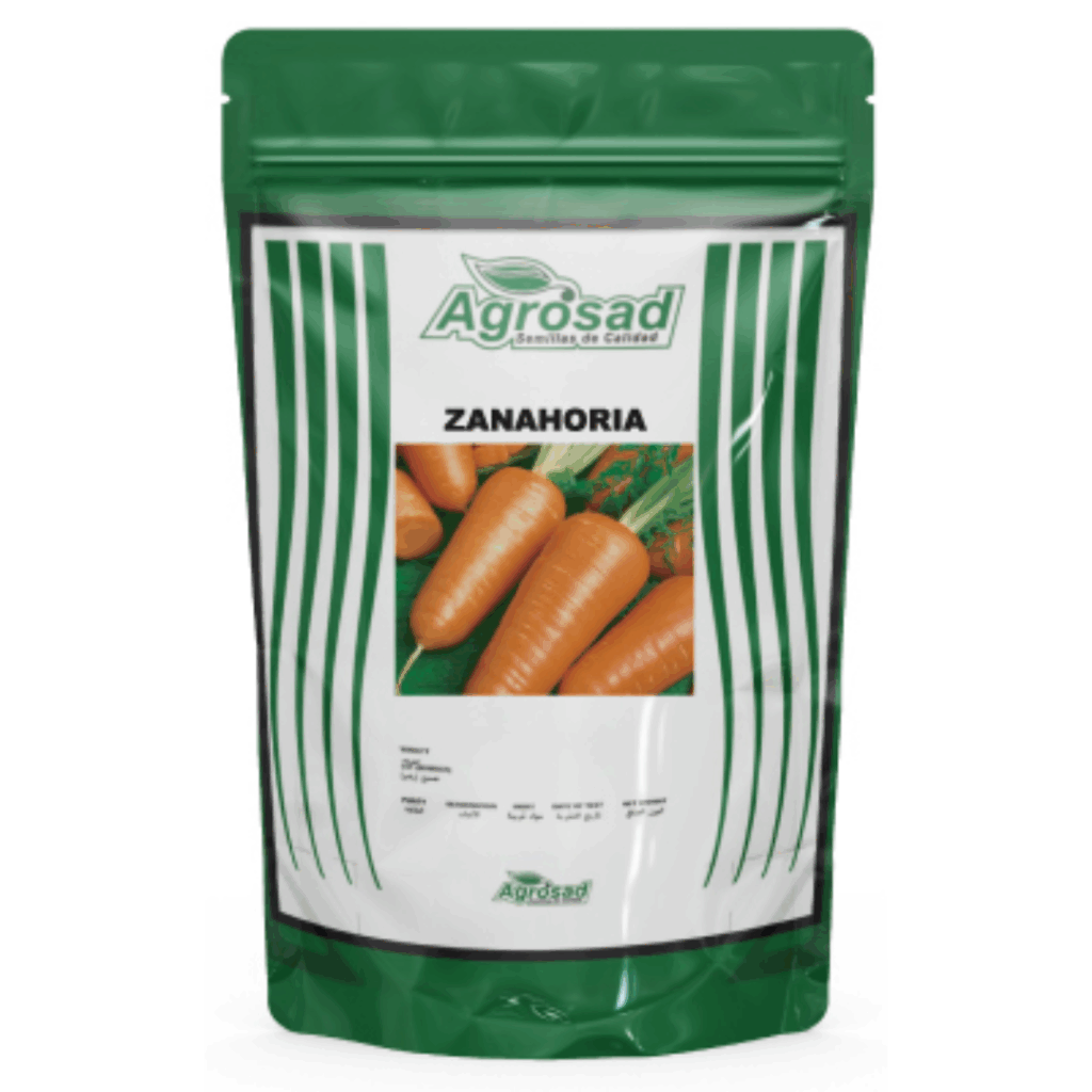 Zanahoria Variedad Royal Chantenay