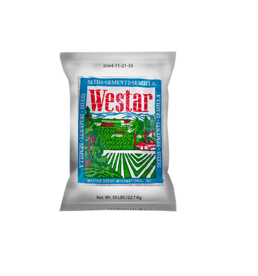 Alfalfa Variedad Abunda Verde