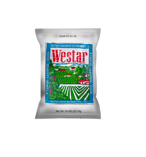 Alfafa Variedad Cuf 101