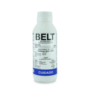 Belt