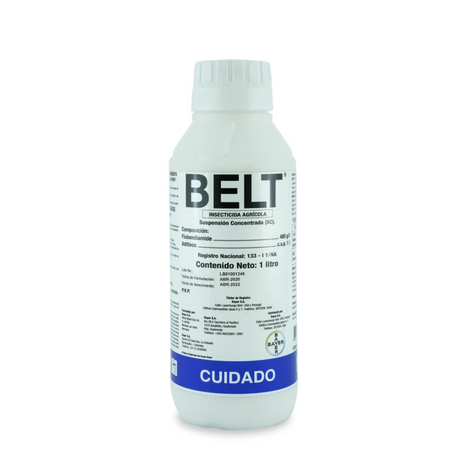 Belt