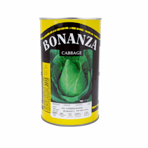 Col Corazón Buey Variedad Ox Heart
