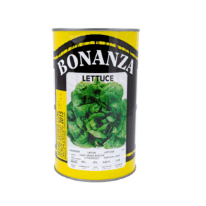 Lechuga Seda (Hoja) Variedad Dark Green Boston
