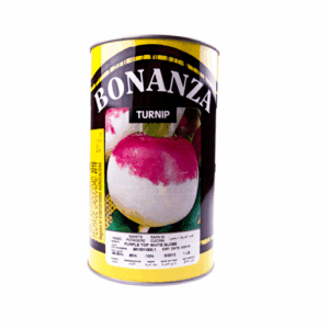 Papanabo Variedad Purple Top White Globe