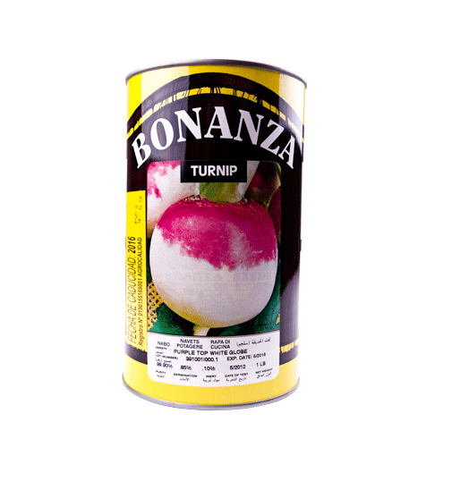 Papanabo Variedad Purple Top White Globe