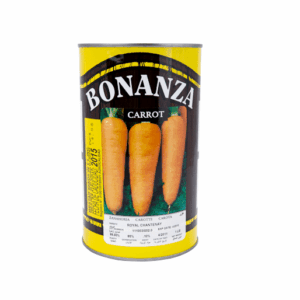 Zanahoria Variedad Royal Chantenay