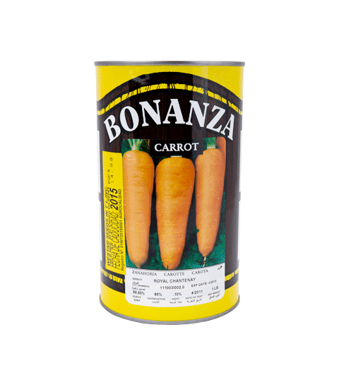 Zanahoria Variedad Royal Chantenay