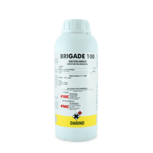 Brigade 100