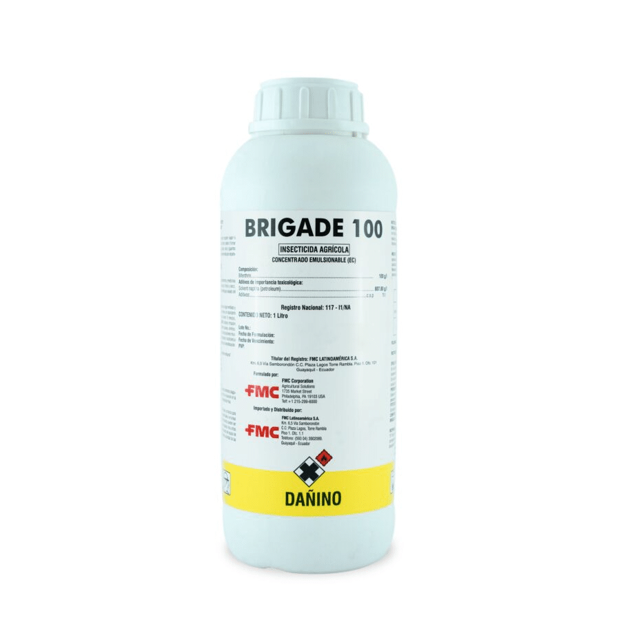Brigade 100