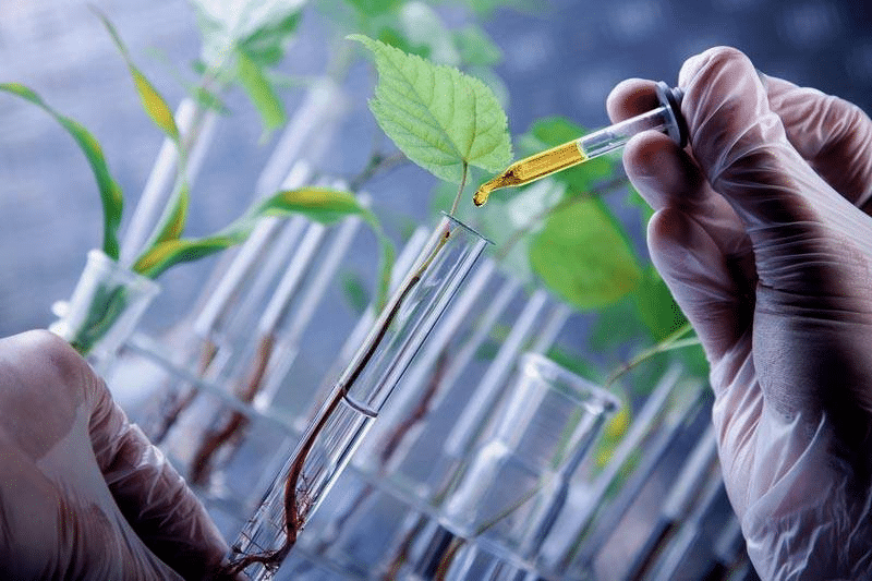 La biotecnología agrícola emergente en Ecuador: Un largo camino por recorrer